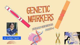 Genetic MarkersMolecular genetics 4AnthropologyInsightsforUPSCNETcuetugcnet upsc [upl. by Chi]