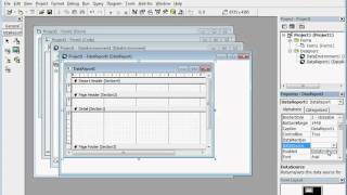 visual basic 60 Simple DataReport [upl. by Ndnarb186]