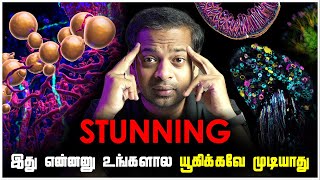 🤯 Unbelievable Science Visuals 😱 அறிவியல் விசித்திர விநோதங்கள்  MrGK [upl. by Zehc]