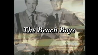 The Beach Boys Live at Knebworth 1980 [upl. by Aleibarg]