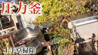 【圧力釜】土手草掃除❗️三重県志摩市❗️ [upl. by Patt]