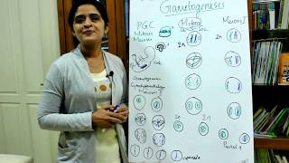 GAMETOGENESISPART 1MITOSIS ampMEIOSISDR ROSE JOSE MD [upl. by Rafael]