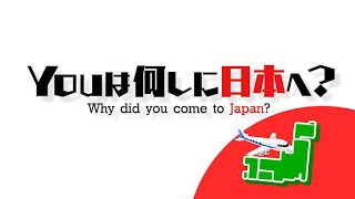 YOUは何しに日本へ？で紹介された‼️ やったー‼️😆【Japanese ver】 [upl. by Glennie587]