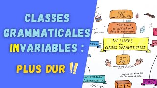 LES CLASSES GRAMMATICALES INVARIABLES ou natures  révisez vos basiques [upl. by Leaffar411]