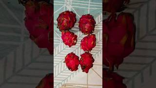 dragon fruithealthy fruit ytshorts food dragofruitviralvideo viralsong [upl. by Essenaj]