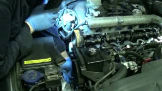 D5252T timing belt change part 5b Main timing belt Installation Volvo 850 S70 V70 S80 TDI 25D [upl. by Nauqe]