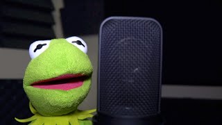 Kermit The Frog Raps In studio performance [upl. by Negaem]