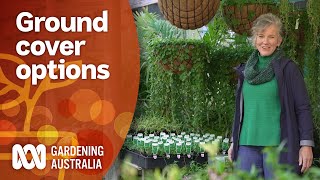 Native groundcover plant options for every garden environment  Gardening 101  Gardening Australia [upl. by Yttiy658]