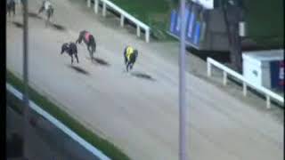 IGB  The Gain Dog Nutrition A4A5 Round 1 Heat 3 18122018 Race 10  Shelbourne Park [upl. by Brathwaite]