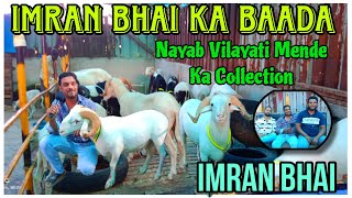 Nayab Vilayati Mende Collection at IMRAN BHAI KABAADAin KalyanyoutubevideosviralvideoAsimShaikh [upl. by Jaynell131]