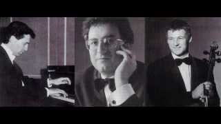 Brahms SextetPiano Trio No 1 Hoexter  Harding  Feile [upl. by Primo]