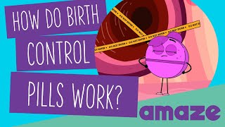 How Do Birth Control Pills Work [upl. by Morten]