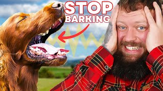 How To Stop Your Dog Barking  You Can Do This Right Now [upl. by Ahsinaj]