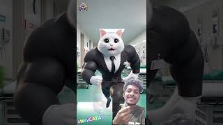 Cat love story and fight story 💕💪lovestory catfight catlover shortsvideo shorts viralvideo [upl. by Suiraj351]