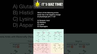 Amino acids quiz [upl. by Milty]