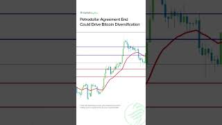 Petrodollar Agreement End Could Drive Bitcoin Diversification [upl. by Idham972]