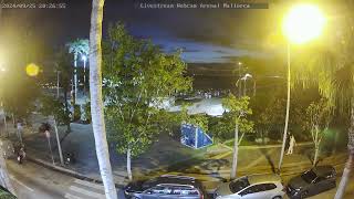 ☀️Livestream Webcam Arenal Mallorca☀️ [upl. by Etienne411]