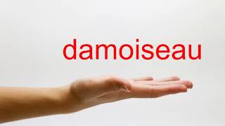 How to Pronounce damoiseau  American English [upl. by Eidorb]