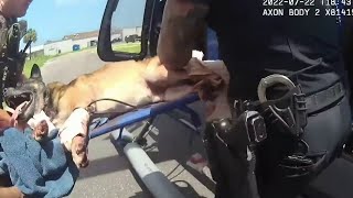 ‘Get him out of here now’ Bodycam shows moments officers save K9 shot while going after suspects [upl. by Dnalyag285]