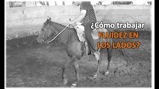 Arrendando Caballos v13 ¿Cómo trabajar la Fluidez en Lados [upl. by Nolek]