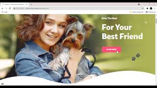 Top 7 Best WordPress Pets and Animal Theme [upl. by Wake225]