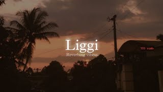 Liggi Slowed  Reverbed  Ritviz [upl. by Ayanal928]