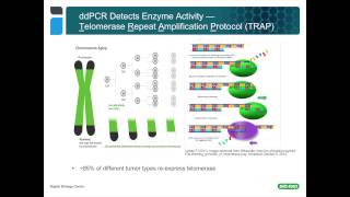 Using Droplet Digital™ PCR for Cancer and Liquid Biopsy Studies [upl. by Aloivaf]