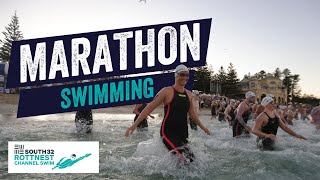 Marathon swimming through the open ocean Tips tricks and advice  South32 Rottnest Channel Swim [upl. by Narmi717]