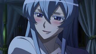 AMV Esdeath and Tatsumi  E for Extinction [upl. by Celeski930]