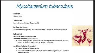 Infecciones Tracto Respiratorio 2  Tuberculosis Difteria Bordetella [upl. by Eesdnyl]