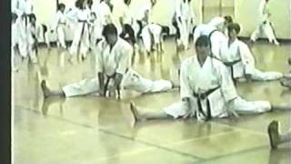 Zanshin Kai Glasgow Scotland Shotokan Karate exam [upl. by Noir]