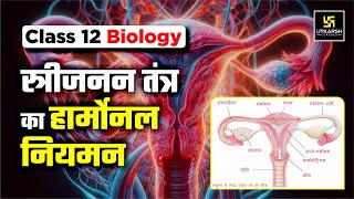 Hormonal Regulation of Female Reproductive System  स्त्रीजनन तंत्र के हार्मोन्स  Krishnakant Sir [upl. by Slater]