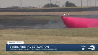 Byers grass fire sparked by bird officials say [upl. by Wolfe106]