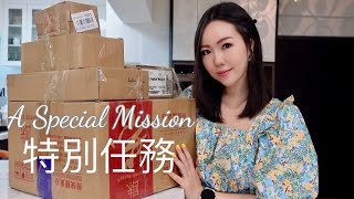 一個特別任務  HKTVMALL HAUL  BRIGITE AMARAL [upl. by Issac]