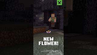 NEW FLOWER ALERT EYEBLOSSOM [upl. by Matias57]