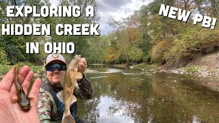 This Scioto River Tributary in Central Ohio is Amazing [upl. by Romain]