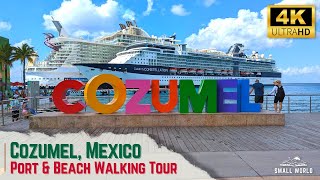 Cozumel Mexico  Walking Tour  International Cruise Terminal Port Shopping amp Beach Walks [upl. by Alios]