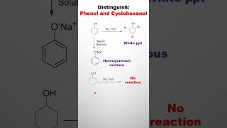 Distinguish between Phenol and Cyclohexanol  Chemistry Lab  Practical youtubeshorts chemistry [upl. by Fancy977]