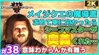 38【DD2】メイジクエ最後の１つを求めて魔術師を探して東へ向かい辿り着いた所でシーフマスターと出会い意味わからんが突然奥義をくれました…「ドラゴンズドグマ2」「DragonsDogma2」 [upl. by Ardua674]