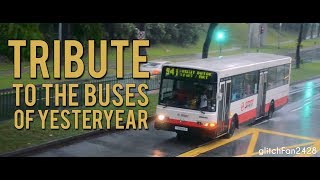 A Tribute to The Old Singapore Buses of Yesteryear  10th Anniversary Special [upl. by Ybrad588]