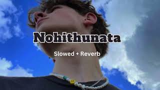 Nohithunata නොහිතුනාට Slowed  Reverb  Yuki Navaratne Ft Chamath Sangeeth [upl. by Nimoynib]