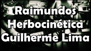 Raimundos  Herbocinética  Guitar Cover [upl. by Llereg]