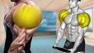 6 Dumbbell Exercises to Get Huge Shoulder Fast [upl. by Laird]