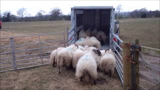 Farmers Guardian Houghton Parkhouse T35 livestock transporter [upl. by Swamy]