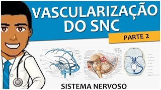 Sistema Nervoso 12 – Vascularização SNC P2 Drenagem Venosa Superficial e Profunda [upl. by Nee]