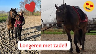 Longeren met ZADEL en laatste dagen 2023 Ponygeluk vlog49 [upl. by Henka775]