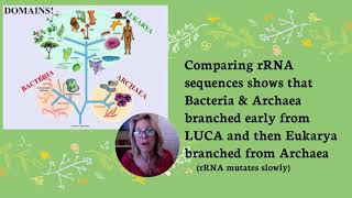 APBio Ch 19 Pt 1 Taxonomy and Systematics [upl. by Zach]