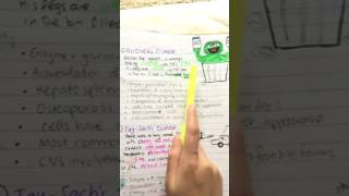 Lysosomal Storage Diseases Sphingolipidoses MADE EASY with mnemonics [upl. by Asilanna377]