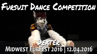 MFF 2016 Fursuit Dance Competition Dexter [upl. by Florentia754]