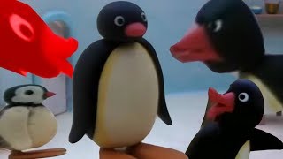 YTP Pingu Pees on the Floor [upl. by Nocam]